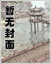 强制高潮系统(NPH)